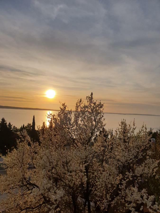 Apartmani Goga Starigrad Paklenica Exterior photo